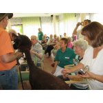 28.05.2015 Seniorenheim Vitaris